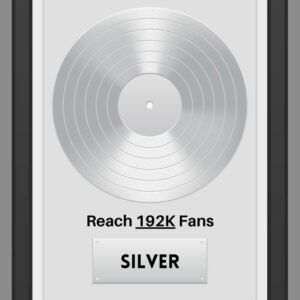 Silver Level Meta Music Promotion