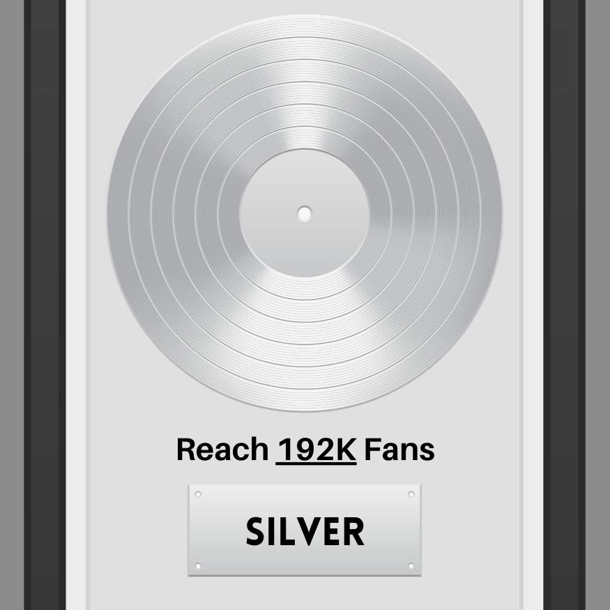 Silver Level Meta Music Promotion